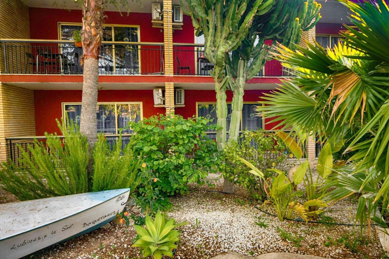 Apartamentos Palasiet Benidorm Exterior foto